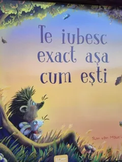 Te iubesc exact asa cum esti - Ron van Maurik