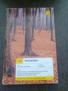 TEACH YOURSELF ROMANIAN - DENNIS DELETANT