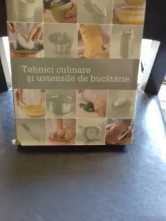 TEHNICI CULINARE SI USTENSILE DE BUCATARIE