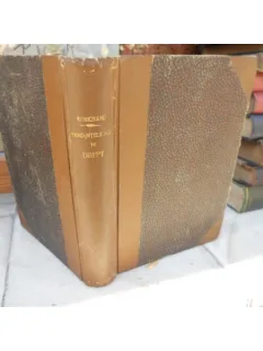 Tendintele noi in Drept, Studii de drept civil si penal , 1906