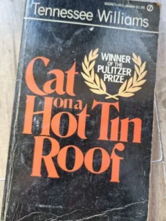 Tennessee Williams - Cat in a Hot Tin Roof