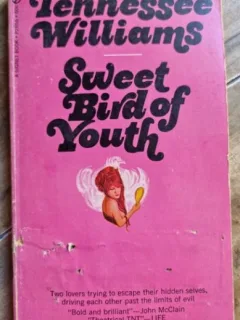 Tennessee Williams - Sweet Bird of Youth