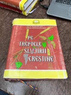 Teoctist - Pe treptele slujirii crestine (volumul X)