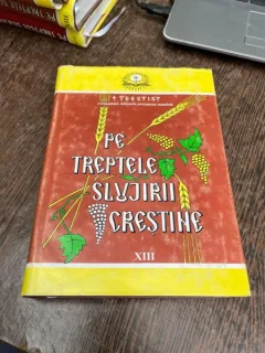Teoctist - Pe treptele slujirii crestine (volumul XIII)