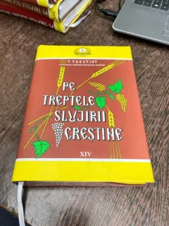 Teoctist - Pe treptele slujirii crestine (volumul XIV)