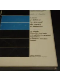 TEORIE SI TEHNICA - ANITA NASCHITZ