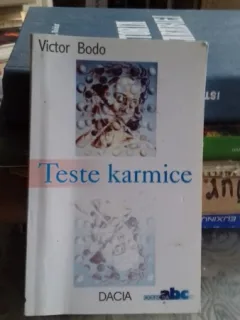 TESTE KARMICE - VICTOR BODO
