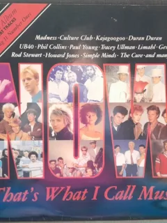 That's Why I Call Music vinil