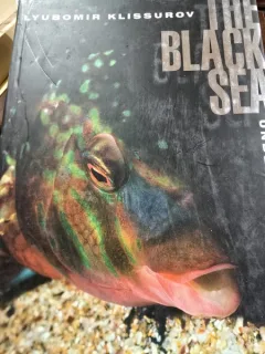 The Black Sea - Lyubomir Klissurov (cu dedicatie de la autor)