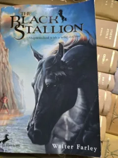 The Black Stallion - Walter Farley