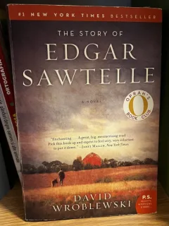 The story of Edgar Sawtelle - David Wroblewski
