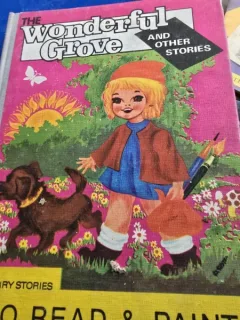 The wonderful grove and other stories - Ana Cartianu