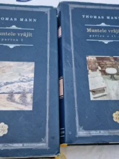 Thomas Mann - Muntele vrajit 2 volume