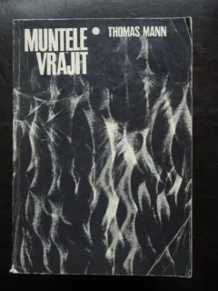 Thomas Mann - Muntele vrajit