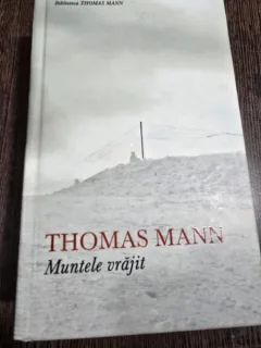 Thomas Mann - Muntele vrajit