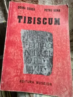 Tibiscum - Doina Benea, Petru Bona