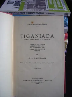 TIGANIADA - I. BUDAI DELEANU