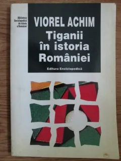 TIGANII IN ISTORIA ROMANIEI - VIOREL ACHIM