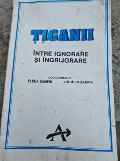 TIGANII INTRE IGNORARE SI INGRIJORARE - ELENA ZAMFIR