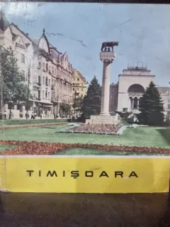 Timisoara - Alexandru Zanescu