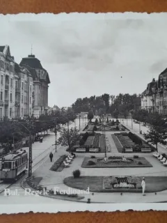 Timisoara, Bd.Regele Ferdinand, perioada interbelica
