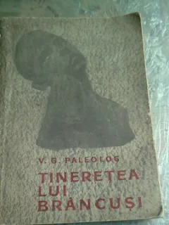 Tineretea lui Brancusi - V. G. Paleolog