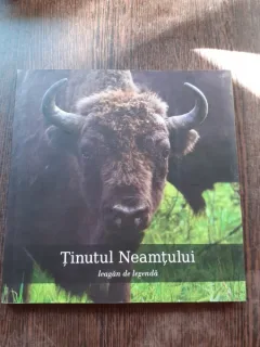 TINUTUL NEAMTULUI, LEAGAN DE LEGENDA, ALBUM