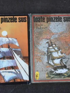 TOATE PANZELE SUS - RADU TUDORAN 2 VOLUME
