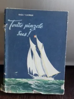 TOATE PANZELE SUS - RADU TUDORAN