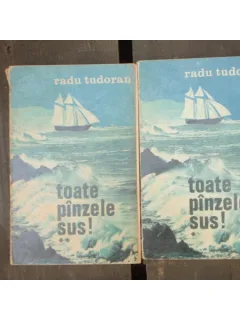 TOATE PINZELE SUS! - RADU TUDORAN 2 VOLUME