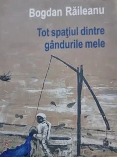 Tot spatiul dintre gandurile mele - Bogdan Raileanu