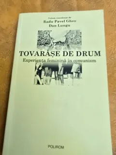 Tovarase de drum. Experienta feminina in comunism - Radu Pavel Gheo, Dan Lungu