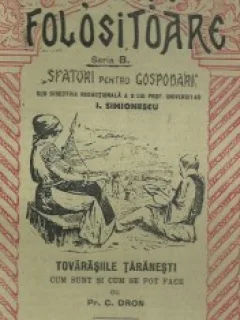 TOVARASIILE TARANESTI - C. DRON