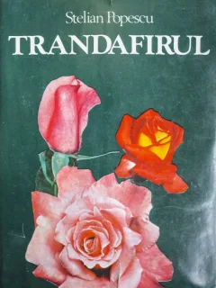 TRANDAFIRUL, STELIAN POPESCU