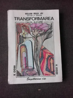 TRANSFORMAREA, CALEA BUCURIEI - WILLIAM BRIGH JOY