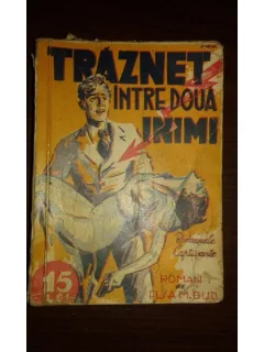 TRASNET INTRE DOUA INIMI, ELSA MARIA BUD