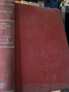 Trattato di Anatomia umana Topografica , Angelo Cesare Bruni , 1936