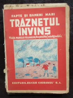 TRAZNETUL INVINS