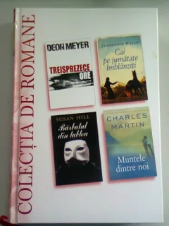 TREISPREZECE ORE DE DEON MEYER, CAI PE JUMATATE IMBLANZITI DE JEANNETTE WALLS, BARBATL DIN TABLOU DE SUSAN HILL, MUNTELE DINTRE NOI DE CHARLES MARTIN