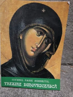 TREZIRE DUHOVNICEASCA - CUVIOSUL PAISIE AGHIORITUL