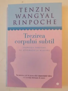 TREZIREA CORPULUI SUBTIL - TENZIN WANGYAL RINPOCHE