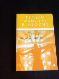 Trezirea mintii luminoase - Tenzin Wangyal Rinpoche