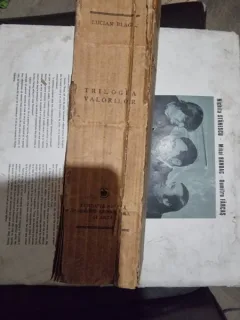 Trilogia valorilorStiinta si creatie; Gandire magica si religie; Arta si ValoareLucian Blaga