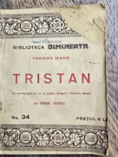 Tristan - Thomas Mann