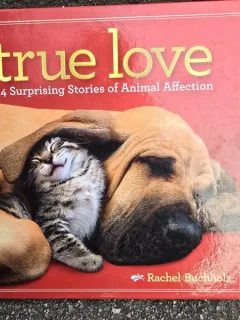 True love, 24 surprising Stories of Animals Affection