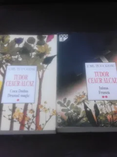 TUDOR CEAUR ALCAZ - IONEL TEODOREANU  2 VOLUME