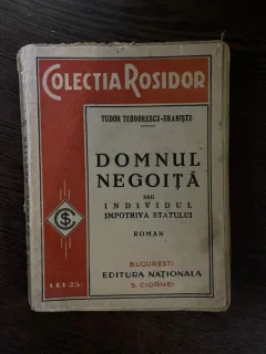 Tudor Teodorescu-Braniste Domnul Negoita sau Individul impotriva statului