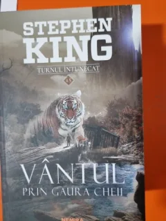 Turnul intunecat. Vantul prin gaure cheii - Stephen King