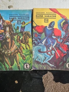Banul Mărăcine - Grigore Băjenaru