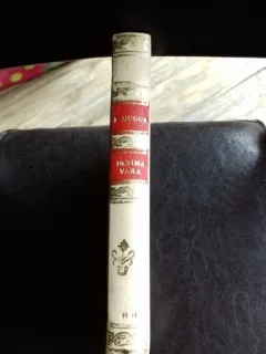 ULTIMA VARA A LUI ANTIM - FLORIN MUGUR